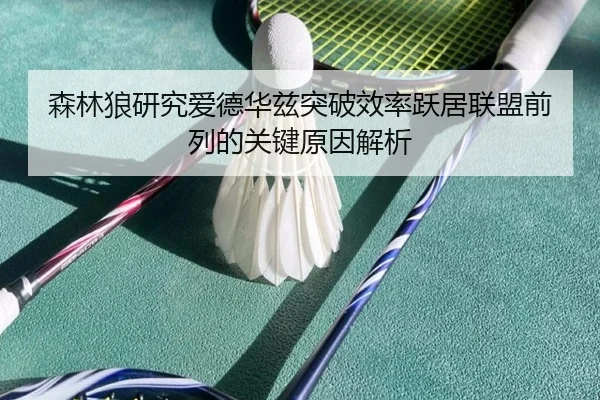 森林狼研究爱德华兹突破效率跃居联盟前列的关键原因解析
