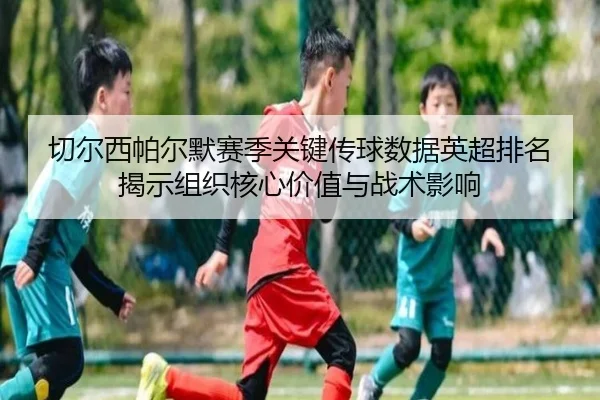 切尔西帕尔默赛季关键传球数据英超排名揭示组织核心价值与战术影响